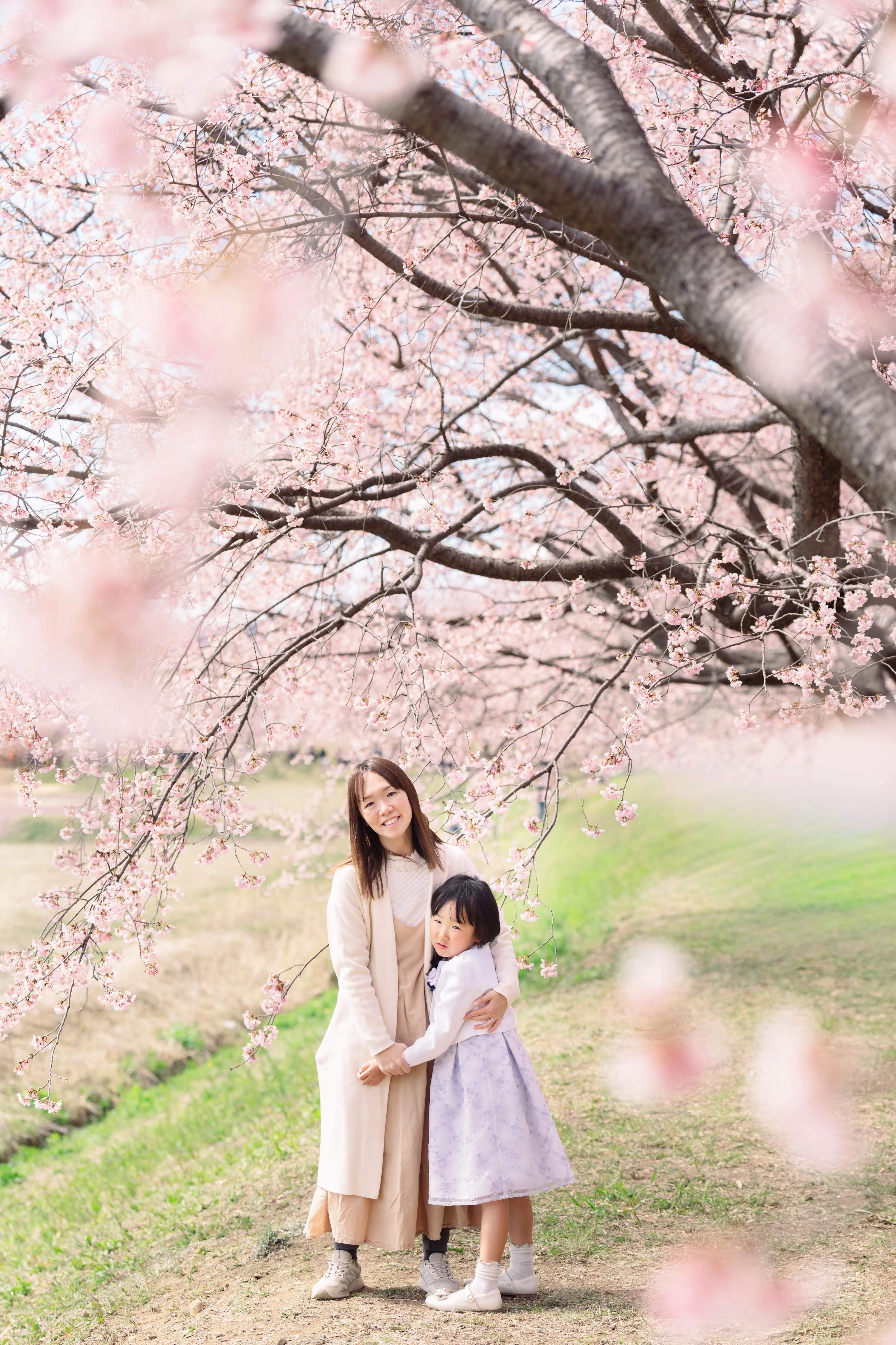 haru